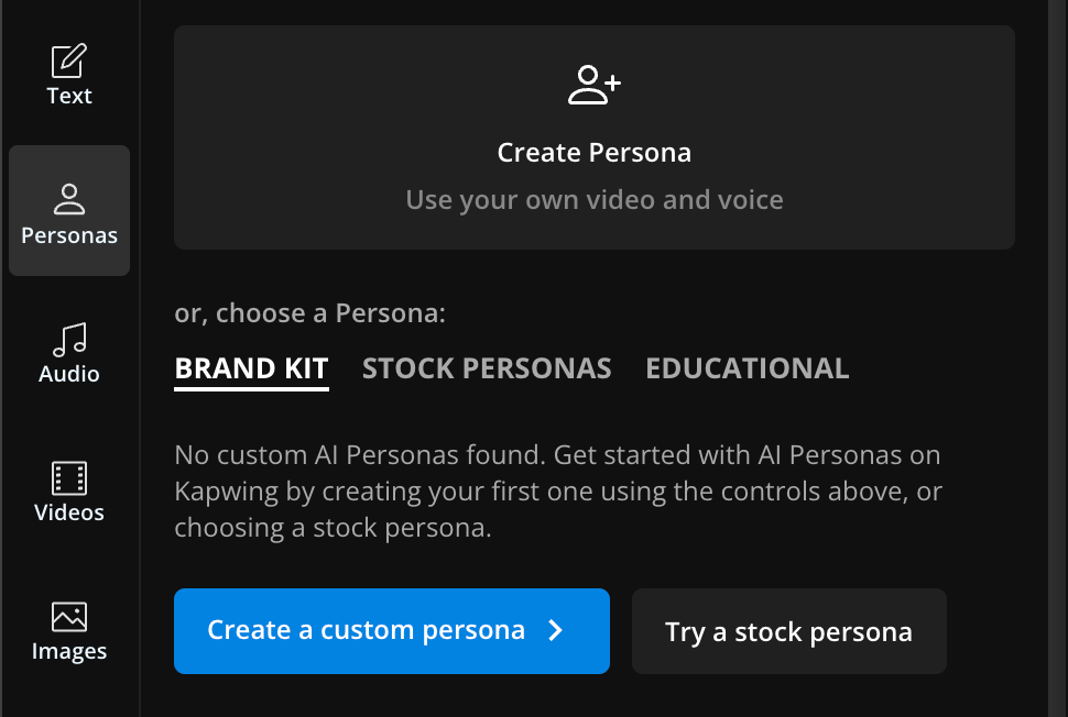 screenshot of the Create Persona view