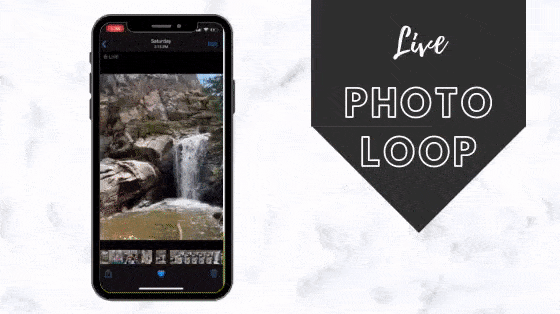 How to Create GIF Files on iPhone With Photos/Videos