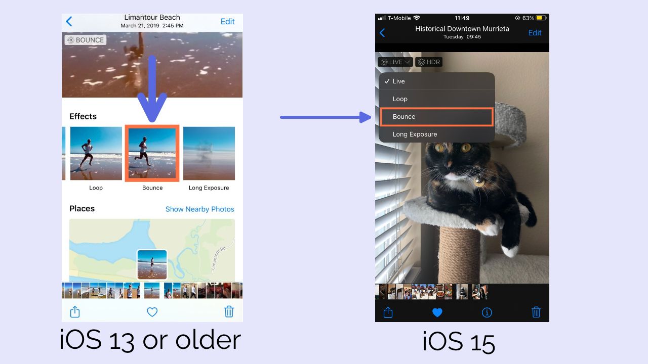 How to Make GIFS and Videos From Live Photos - TurboFuture