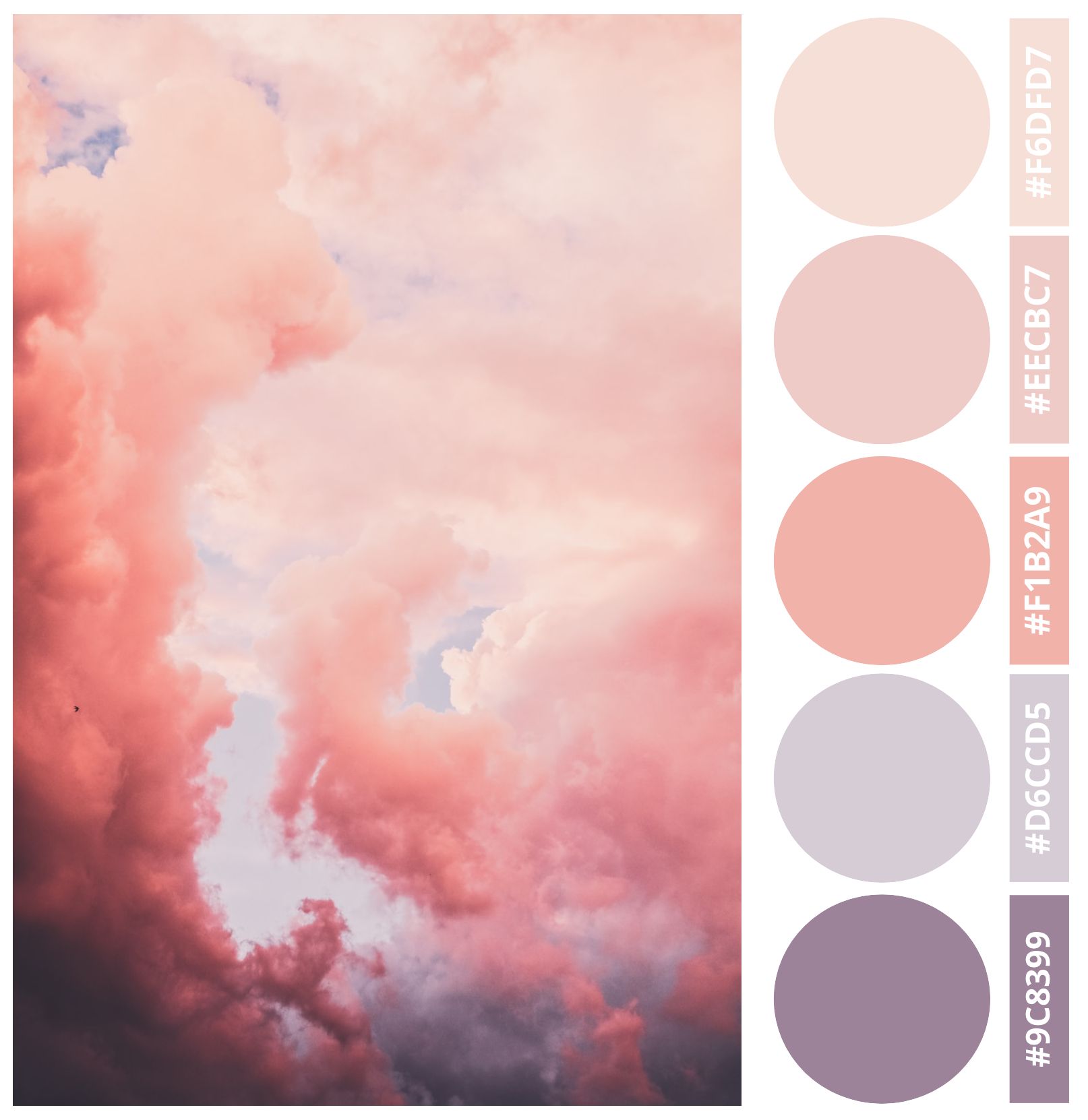 How to Create an Aesthetic Pastel Palette + Examples