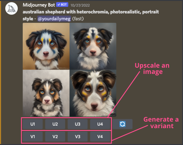 Four different cartoon dogs created by Midjourney side by sid