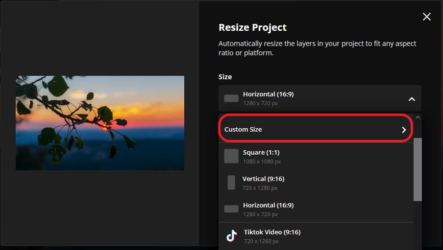 Kapwing's 'Resize Project' menu open, with the 'Custom Size' option highlighted.