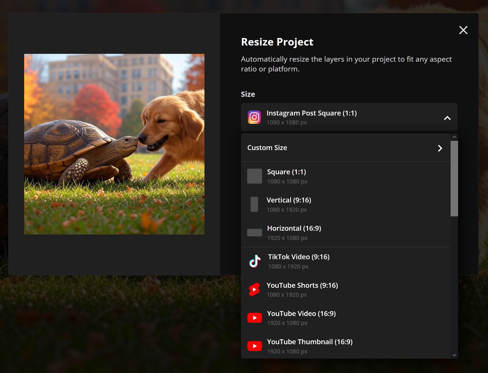 Kapwing editor with the resize project menu expanded for visibility. 