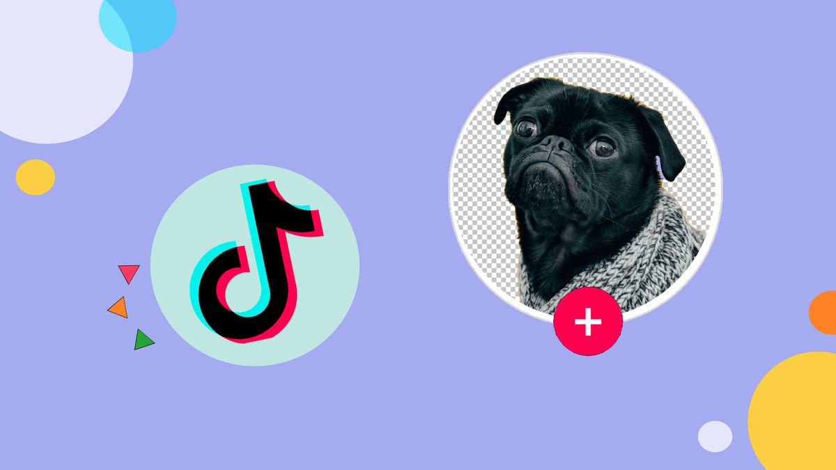 Best Ways on How to Get a Transparent Profile Picture on TikTok for Free