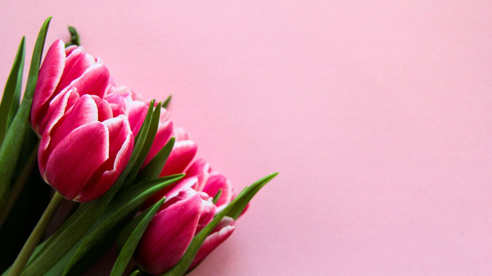 10 Easter Zoom Backgrounds for a Virtual Celebration