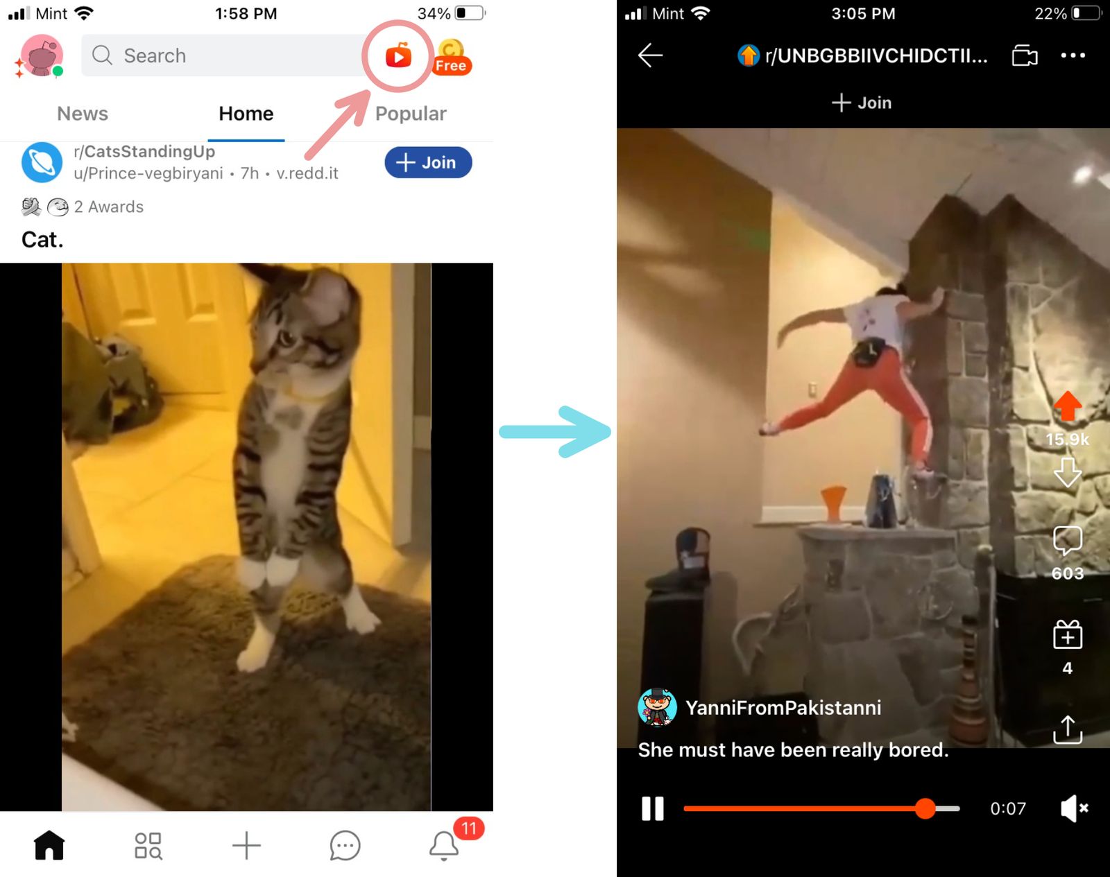 NEW Reddit Video Feed Everything You Need to Know