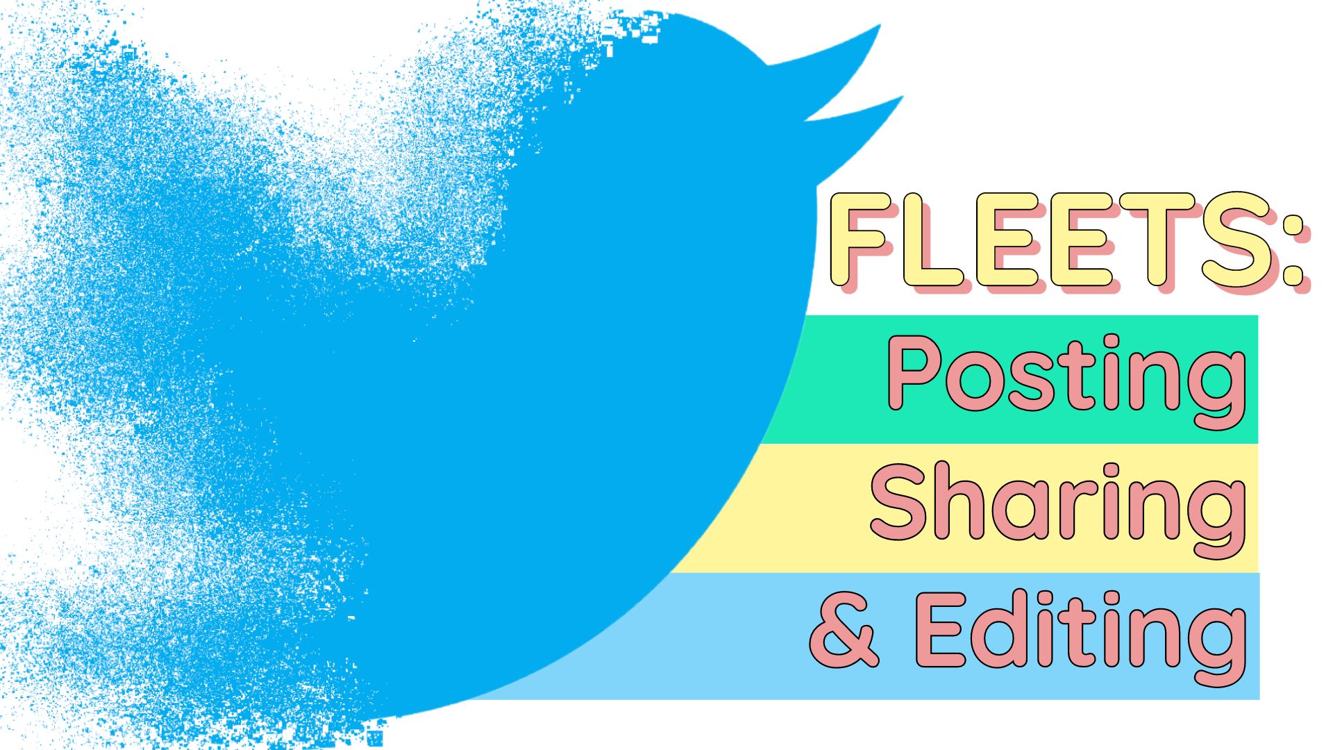 Fleets Everything You Should Know About Twitters New Stories And How